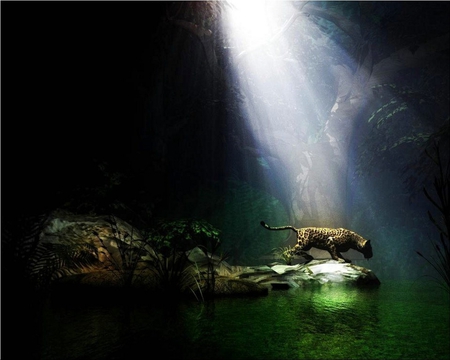 RAY OF HOPE - jungle, water, cheetah, plants, sun ray