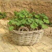 Flower Basket