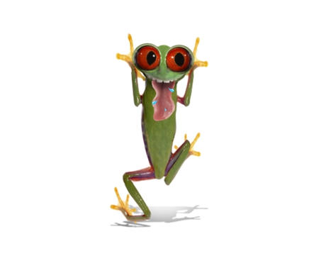 silly frog - silly, acting, funny, frog