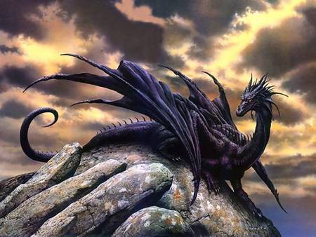 Black Dragon - black dragon, dragon