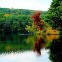 Color on Walker Pond