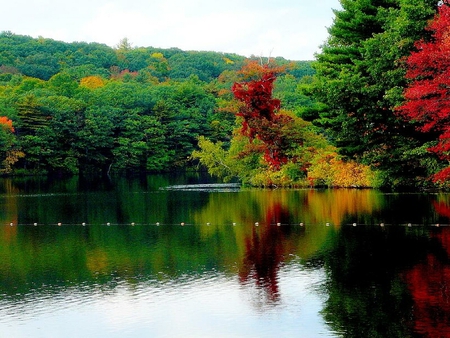 Color on Walker Pond - color, walker, pond