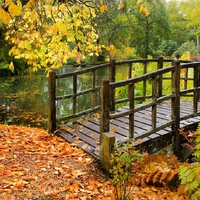 Exbury Gardens in the New Forest Hampshire