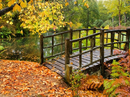 Exbury Gardens in the New Forest Hampshire - exbury, new forest hampshire, gardens, bridge