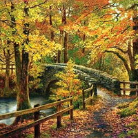 Autumn bridge