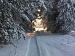 Snow Tunnel