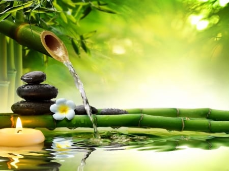 Spa still life - calm, relax, water, spa, beautiful, candle, flower, reflection, still life, bamboo, leaves, stones, green