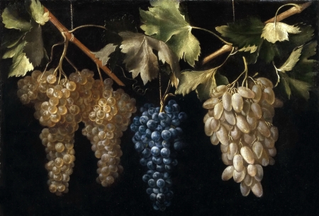 Four Bunches of Grapes