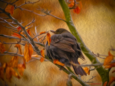 Sarrow - warproof, sarrow, black, bird, art, pictura, leaf, orange, branch, painting