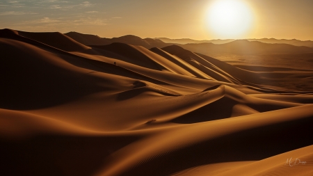 Sunrise in the Desert - sunlight, dawn, dunes, desert, sunshine, sunrise, sand, sky