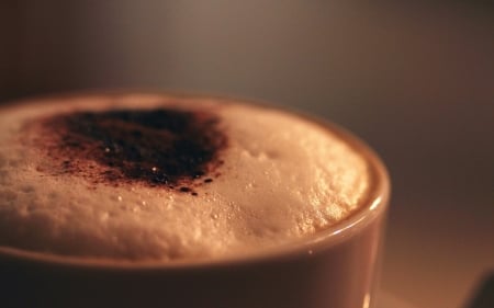 cappucchino foam - cappucchino, foam, cup, coffee