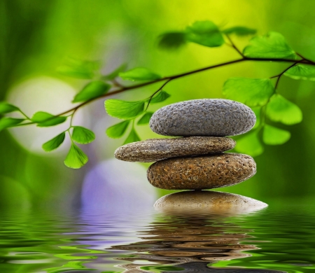 Water and Stones - water, stones, reflection, branch