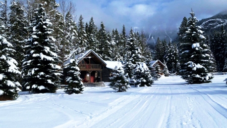 Rocky Mountain Cabins - firs, banff np, street, clouds, canada