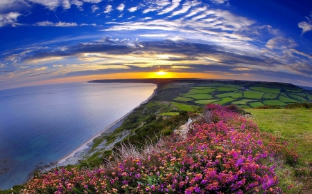 Beach Sunset - nature, beach, clouds, sunset, flowers