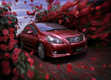 Red Car - ride, car, petals, red