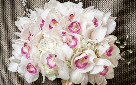 Orchids - white, flower, pink, bouquet, orchid, bride