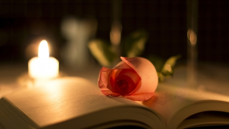 Wonderful Evening Welcha - candle, book, rose, welcha