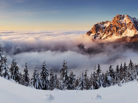 Winter Scenery - mountains, winter, fog, trees, nature, snow