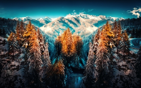 Wonderland - mountains, forest, trees, snow