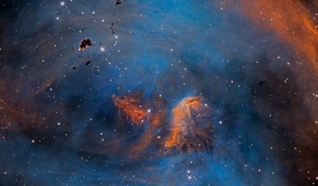 Stars and Globules in the Running Chicken Nebula - space, fun, galaxies, stars, cool, nebula