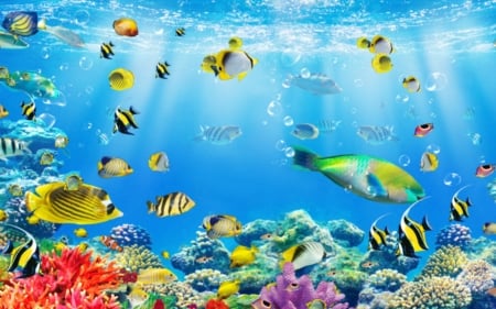 Under the Sea - corals, blue, fishes, underwater