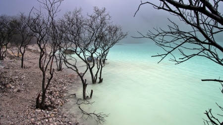 misty rocky lakeshore - lake, shore, trees, rocks