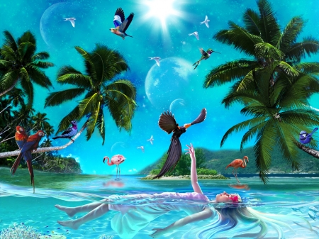 Exotic birds - girl, sea, bird, exotic