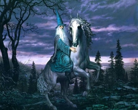 wizard on horse - fantasy, abstract, other, dark ages