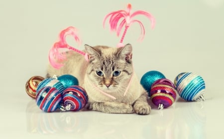 Christmas cat - craciun, cat, pink, blue, ball, pisica, christmas