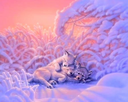 Sweet Dreams in Snow - winter, wolf cubs, attractions in dreams, snow, love, wolves, dogs, beloved valentines, love four seasons, animals