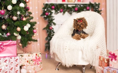 Christmas puppy - deco, dog, pink, tree, christmas, white, animal, craciun, green, yorkshire terrier, cute, puppy