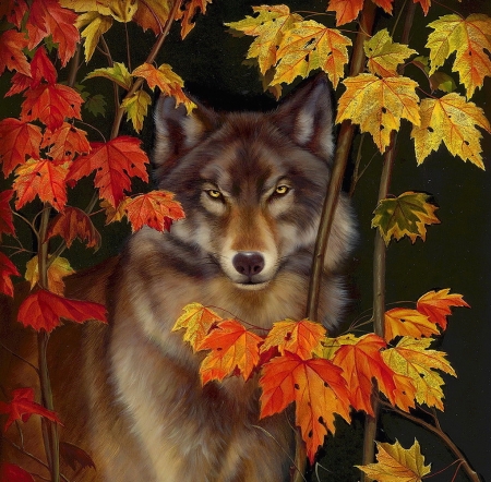 Wild forest - autumn, magical, colorful, wolf, dark, forest, wild, beautiful, splendor, animal