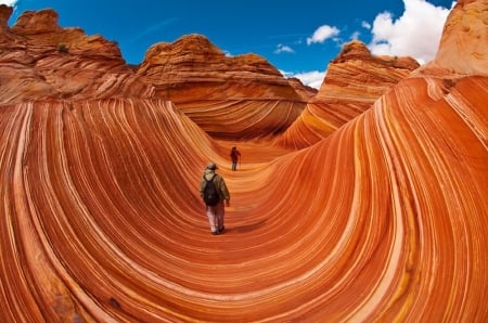 The Wave- Arizona - nature, wave, man, canyons