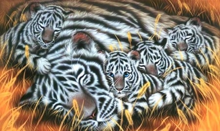 Threads of Love - warmth, love, family, big wild cats, beloved valentines, white tigers, cats, love four seasons, animals