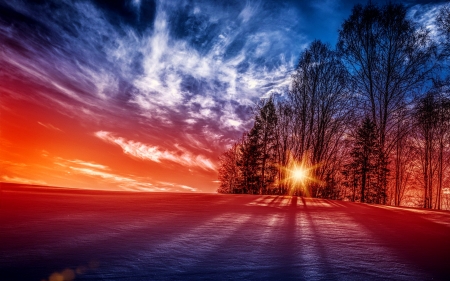 Winter sunset - clouds, trees, winter, amazing, beautiful, snow, colors, sunset, fiery, sky