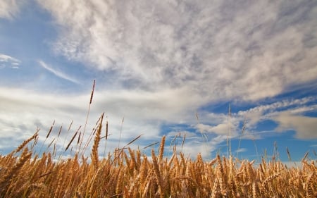 Sky - nature, sky, amazing, beautiful