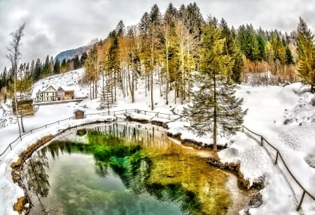 Winter Pond - Pond, Winter, Snow, Nature