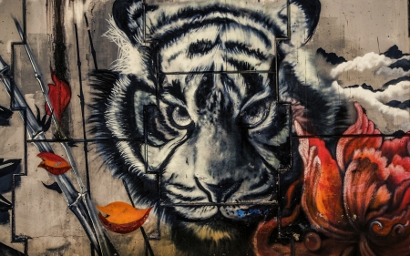 Graffiti - wall, orange, graffiti, texture, tiger, black, flower