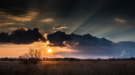 Storm Coming Up - trees, landscape, clouds, sunrays, sunset