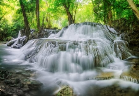 Waterfall - rock, forest, foliage, waterfall, tree