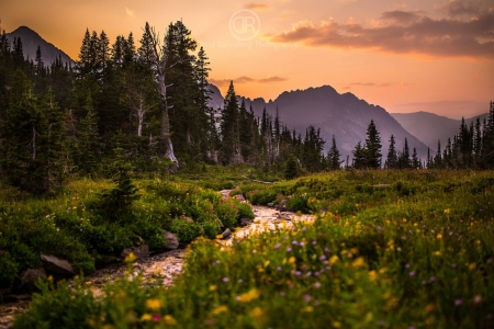 Montain sunset - forest, cool, fun, sunset, nature, mountain