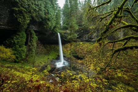 Silver Falls State Park - forest, cool, waterfall, fun, nature