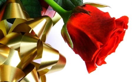 ~ ♥ღ Valentine's Day Red Rose ღ♥ ~