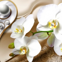 Orchids background