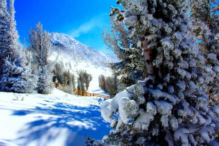 Winter landscape - trees, hills, winter, beautiful, landscape, snow, frost, mountain