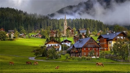 The Austrian Countryside - trees, mountains, green, amazing