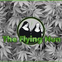 The Flying Nun