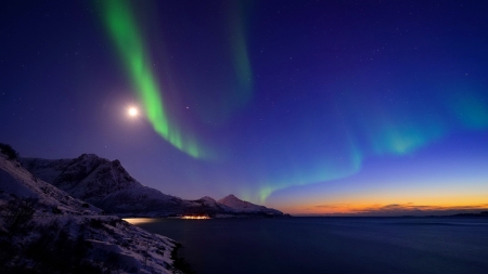 Northern lights - winter, coast, amazing, beautiful, sea, colors, mountain, north, aurora, lights, sky