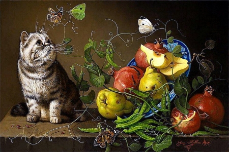 Cute cat - art, butterfly, cat, kitten, fruit