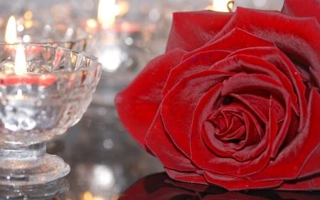 Happy Valentine's Day! - candle, glass, red, valentine, rose